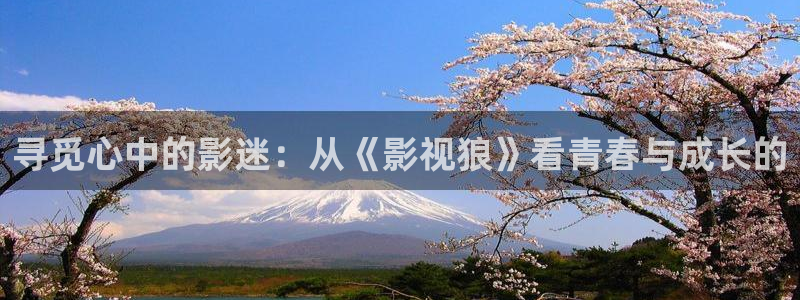 紅桃視頻在線影院：尋覓心中的影迷：從《影視狼》看青春與成長的